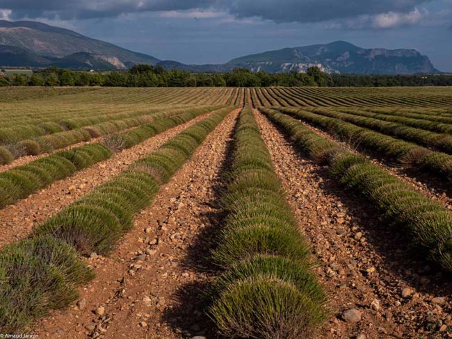 Simon Montmory Provence Climbing guide Verdon